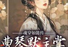 在线免费阅读魂穿如懿传,曹琴默主掌后宫大权完整小说-读书翁