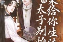 系统:太子别怕,我来给你生娃了免费阅读,系统:太子别怕,我来给你生娃了许锦意-读书翁