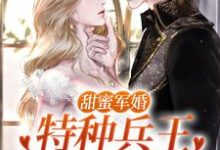 洛芊允陆云峥小说完结版在线阅读，甜蜜军婚：特种兵王宠她入骨！免费看-读书翁