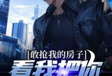 敢抢我的房子,看我把你送进大牢小说有没有完整的免费版本在线阅读?-读书翁