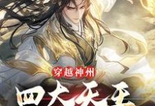 李风小说完结版在线阅读,穿越神州,四大天王可来相助免费看-读书翁