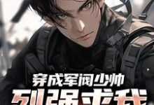 穿成军阀少帅,列强求我别扩军了秦林小说在线章节免费阅读-读书翁