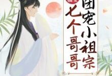 《农门福宝：七个哥哥团宠小祖宗》小说顾柠傅小九章节章节免费在线阅读-读书翁