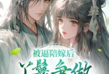 被逼陪嫁后，丫鬟争做后宫第一人小说，被逼陪嫁后，丫鬟争做后宫第一人在线阅读-读书翁