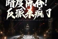 求调虎离山，暗度陈仓！反派杀疯了小说免费资源-读书翁