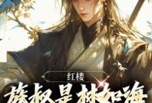 《红楼:族叔是林如海,在线当大佬》小说章节在线试读,《红楼:族叔是林如海,在线当大佬》最新章节目录-读书翁