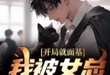 开局就面基,我被女总裁甩了小说的无弹窗阅读体验,寻找免费阅读网站-读书翁
