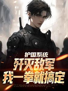 护国系统：歼灭敌军我一拳就搞定小说完结版章节免费阅读