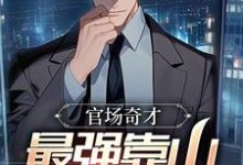 李霖小说叫什么(官场奇才:最强靠山竟是我自己免费阅读)-读书翁