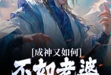 小说《成神又如何,不如老婆孩子热炕头》章节免费阅读-读书翁