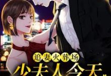 已完结小说《追妻火葬场:少夫人今天又硬气了》在线章节阅读-读书翁