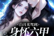 哪里可以免费找到白月光驾到身怀六甲,京圈炸燃了?-读书翁