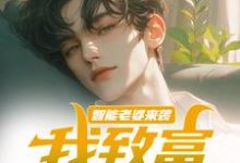 《智能老婆来袭,我致富全靠躺》全集免费在线阅读(苏富夏李紫苏)-读书翁