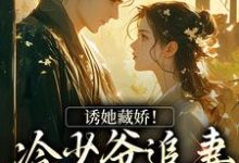诱她藏娇！冷少爷追妻蓄谋已久小说完结版章节免费阅读-读书翁