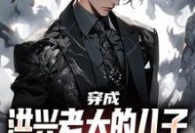 穿成洪兴老大的儿子，我满满正能量小说全文阅读需要付费吗？寻找免费资源-读书翁