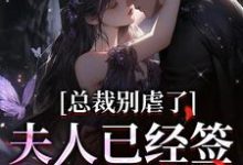 总裁别虐了，夫人已经签了离婚书小说有没有完结版在线？-读书翁