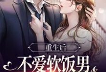 重生后不爱软饭男,闪婚大佬真香了小说完结版章节免费阅读-读书翁