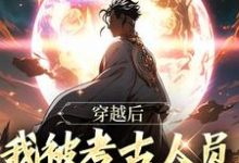 完结版《穿越后,我被考古人员计入档案了!》在线免费阅读-读书翁