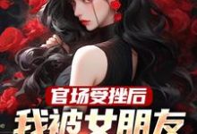 完结版《官场受挫后,我被女朋友甩了》免费阅读-读书翁