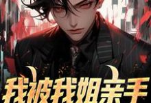 我被我姐亲手送进夜总会免费阅读,我被我姐亲手送进夜总会章节在线阅读-读书翁