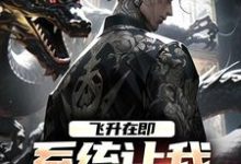 求飞升在即,系统让我去末世历练小说免费资源-读书翁