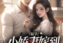 寻找福孕小娇妻嫁到，大佬宠上头了小说的最新更新章节-读书翁