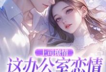 完结版《上司撩情,这办公室恋情我谈定了》章节阅读-读书翁