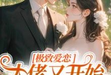 极致爱恋,大佬又开始攻心了免费阅读,极致爱恋,大佬又开始攻心了章节在线阅读-读书翁