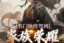 《名门纨绔驾到,家族荣耀我来续》全集免费在线阅读(陈宁青)-读书翁