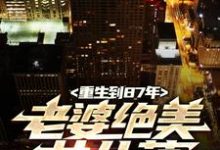 小说《重生到87年,老婆绝美女儿萌》章节免费阅读-读书翁