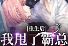 《重生后,我甩了霸总享单身夜》小说宁秋棠江晟章节章节免费在线阅读-读书翁