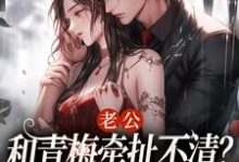 温时晞傅九亊小说老公和青梅牵扯不清？我放你自由！在线阅读章节-读书翁