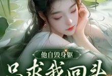 完结版《他自毁身躯,只求我回头看他一眼》章节阅读-读书翁