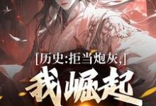 完结版《历史:拒当炮灰,我崛起收复河山》在线免费阅读-读书翁