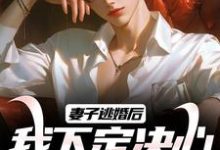 完整版的妻子逃婚后,我下定决心选了她小说在哪里可以免费读到?-读书翁