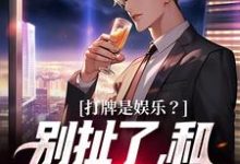 寻找能够免费阅读打牌是娱乐？别扯了，和打仗差不多小说的平台-读书翁