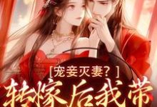 在线寻找宠妾灭妻？转嫁后我带皇子夺王位小说的无删减版本-读书翁