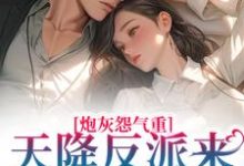 求推荐可以免费阅读炮灰怨气重!天降反派来惩戒男主了小说的网站-读书翁