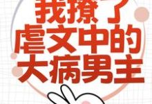 已完结小说《为了活命,我撩了虐文中的大病男主》章节免费阅读-读书翁