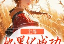 主母她黑化成功,完虐恶婆母小说的最新章节在哪里更新?免费追踪阅读-读书翁