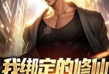 陈甲木小说《我绑定的修仙系统有点癫》在线阅读-读书翁