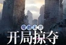 求穿越末世,开局掠夺S物资小说的全文免费阅读链接-读书翁