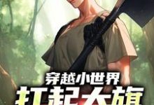 穿越小世界,扛起大旗就是干刘念安李淑兰,穿越小世界,扛起大旗就是干在线无弹窗阅读-读书翁