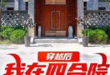 穿越后,我在四合院称霸天下小说,穿越后,我在四合院称霸天下免费阅读-读书翁