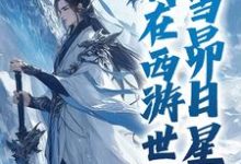 完整版的我在西游世界，当昴日星官小说在哪里可以免费读到？-读书翁