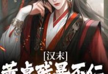 求推荐可以免费阅读汉末:董卓残暴不仁?我起义警告小说的网站-读书翁