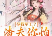 夺我军工?渣夫你怕是没命享小说的无弹窗阅读体验,寻找免费阅读网站-读书翁