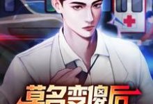 莫名变傻后,我成了乡村团宠小说的所有章节都能在哪里免费读到?-读书翁