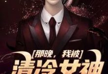 已完结小说《那晚,我被清冷女神强吻了》章节在线阅读-读书翁