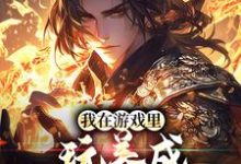 我在游戏里，玩养成治愈了癌症小说的无弹窗阅读体验，寻找免费阅读网站-读书翁